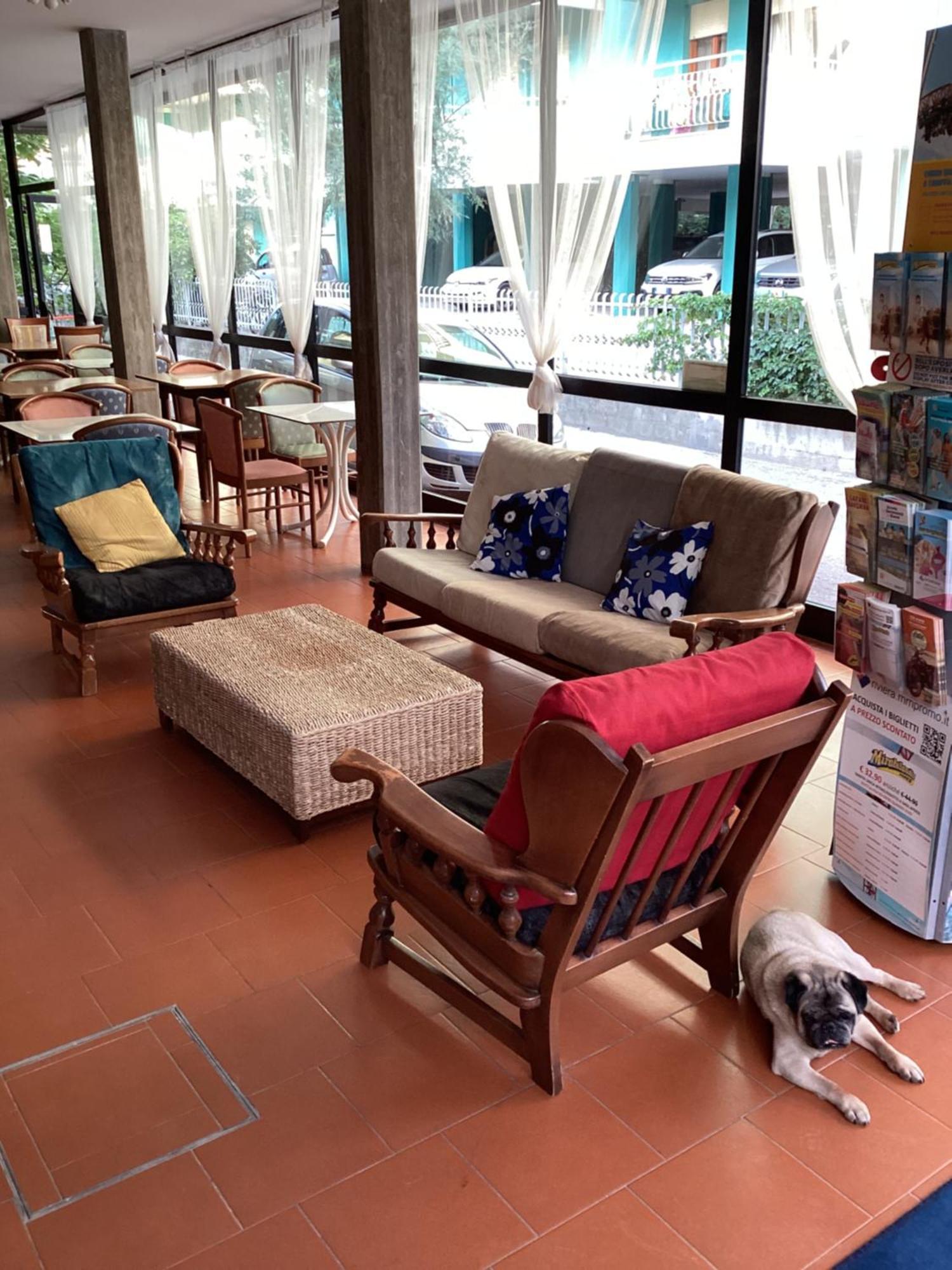 Hotel Villa Alexandra เบลลาเรีย-อีเจอา มารีนา ภายนอก รูปภาพ